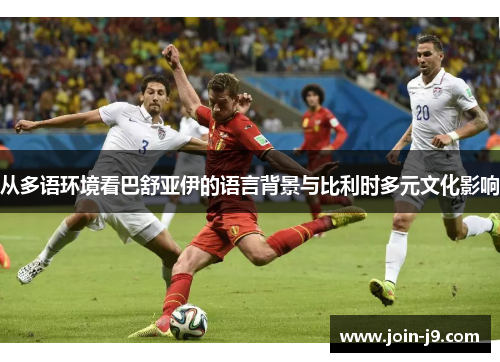 从多语环境看巴舒亚伊的语言背景与比利时多元文化影响