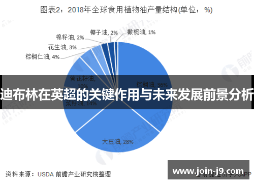 迪布林在英超的关键作用与未来发展前景分析